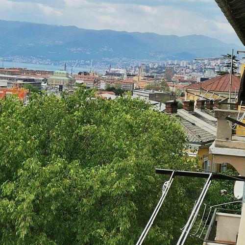 Apartman Flavia