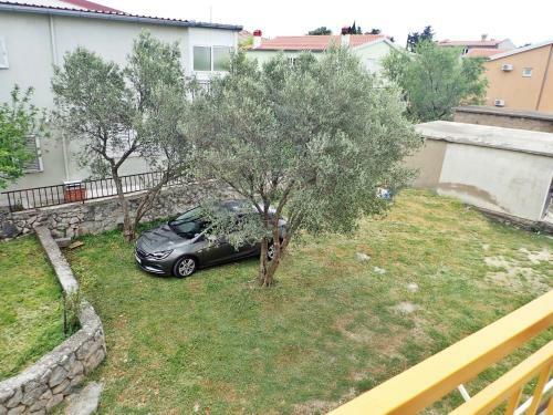 Apartments Darija