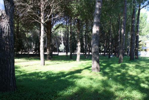 Apartamento Pagliaio Della Madonna