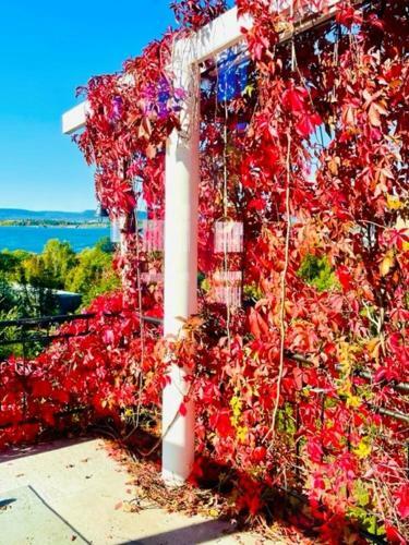 Stately Villa Rosenborg