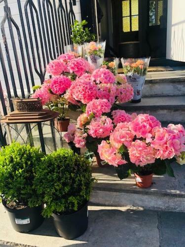 Stately Villa Rosenborg