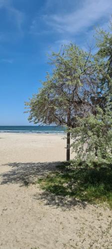 Apartamento Blue Nord 10