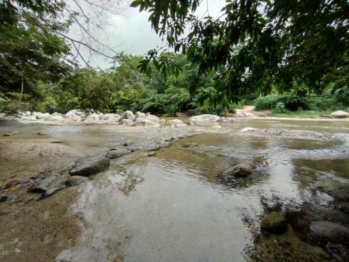Bed & Breakfast Caba�a Mi Manigua Tayrona