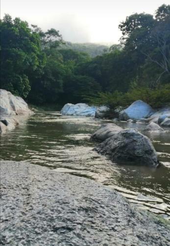 Bed & Breakfast Caba�a Mi Manigua Tayrona
