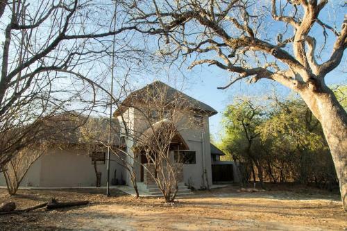 Leadwood Marloth, Kruger Park