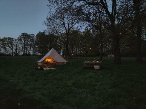 Enter The Woods - Pop-up Glamping
