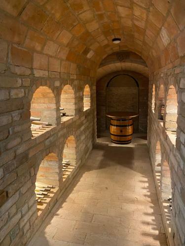 Apartm�ny Na Doln�m Konci N?m?i?ky