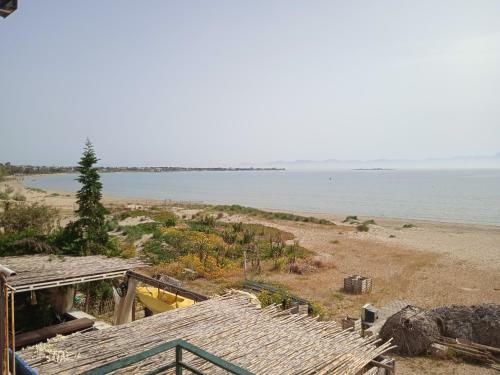 Apartment On The Beach