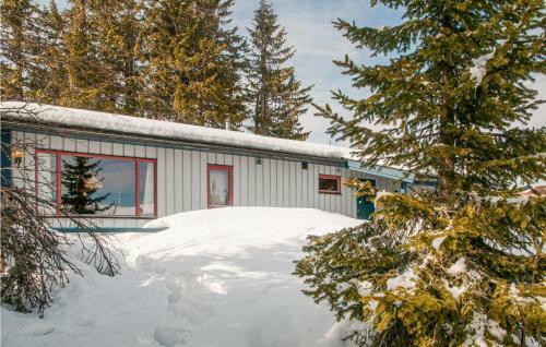 Beautiful Home In Trysil With 3 Bedrooms