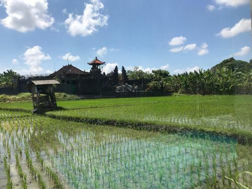 Amazing Villa Bali Belle Vie