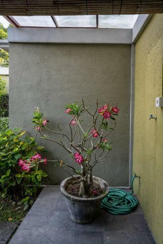 3 Bdr Villa With Pool Near Plataran Canggu