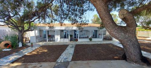 Hostal Seaside Kastamoniti Nikiti "pine&sea"