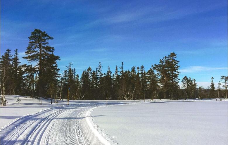 Nice Home In Svarstad W/ Sauna And 4 Bedrooms
