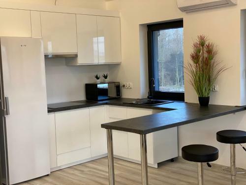 Apartament Beskidek