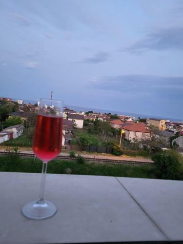 Hotel Damar Costine?ti