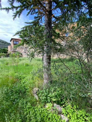 Casa Rural Los Tilos