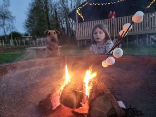 Violet At Sunsets And Marshmallows