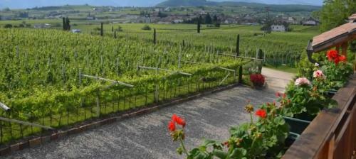 Apartamento B�hel Im Gschleier