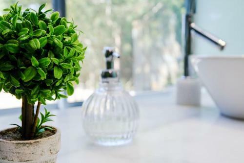 Moradia Prime E Natureza
