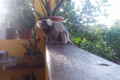 Apartamento Pipa Gostosa Aptos.