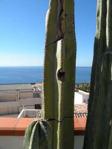 Bed & Breakfast Le Terrazze Sul Mare