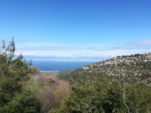Apartamento Eden View