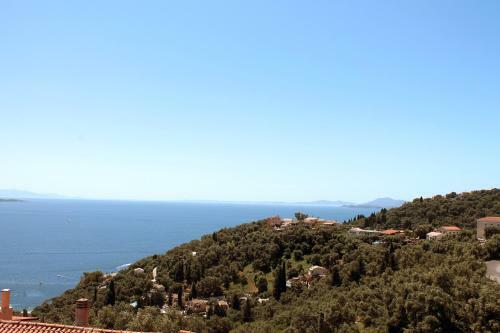 Apartamento Thomas Sea View