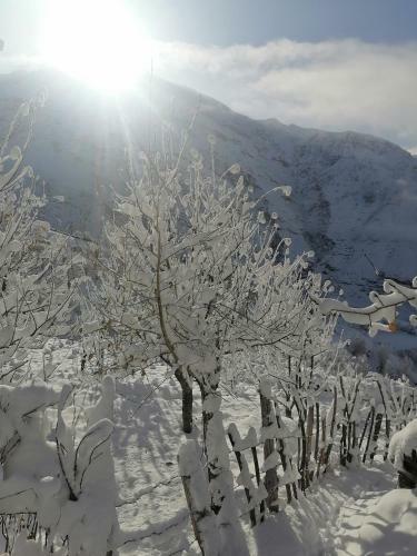 Himalaya Retreat