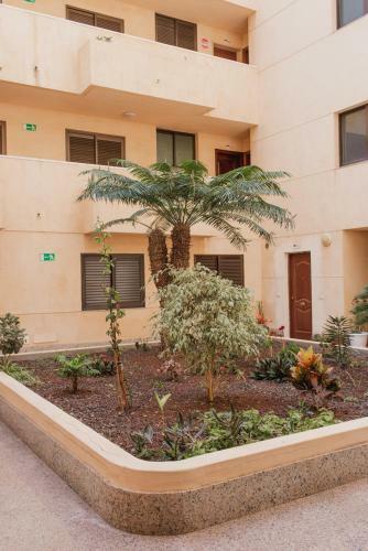 Apartamento M�dano