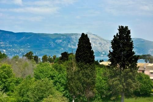 Corfu Seaty Apartment