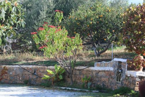 Apartamento Kassandra Garden Residence