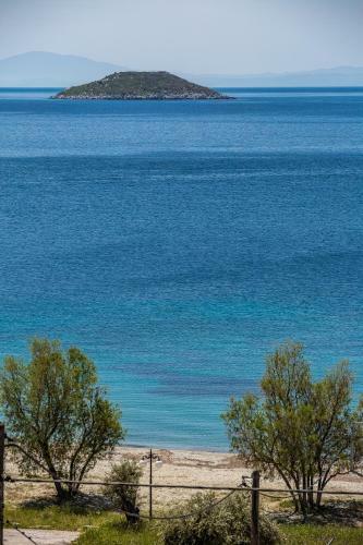 Lilian Beachfront Apartments