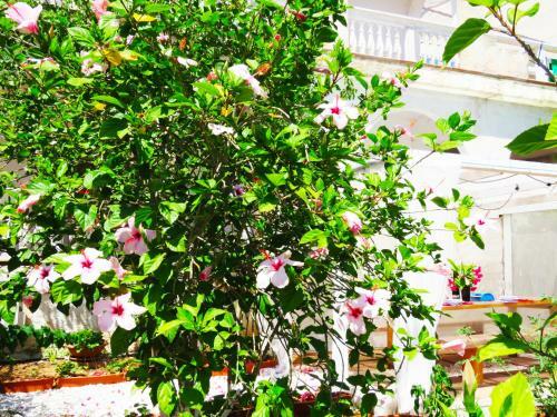 Apartamento Panohome
