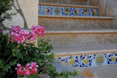 Apartamento La Rosa Rossa