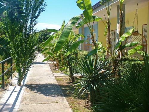 Apartment Ricadi 4