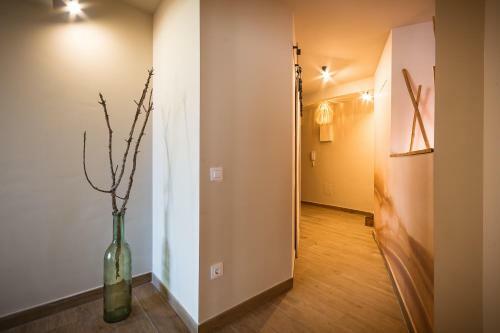 K-colors Apartment