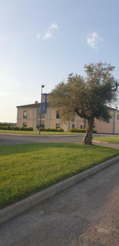Apartamento B&B La Rosa