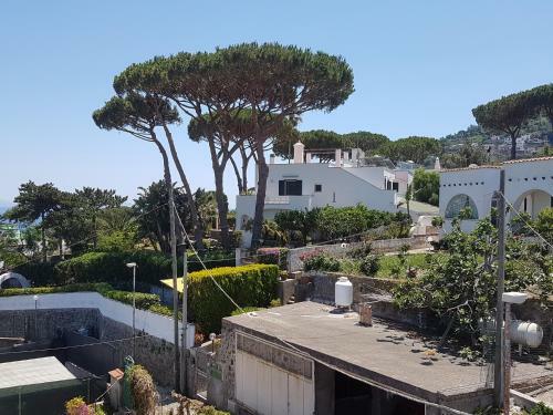 La Viola Apartment