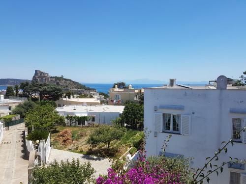 La Viola Apartment