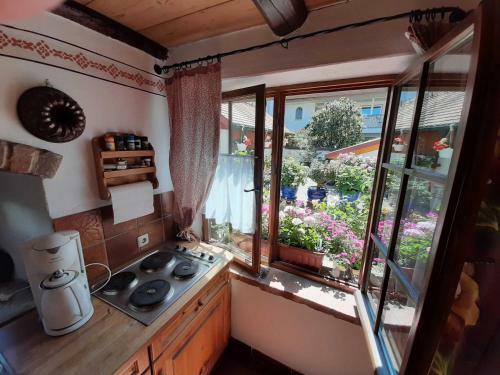 Apartamento Ferienh�uschen Rosi Brehm