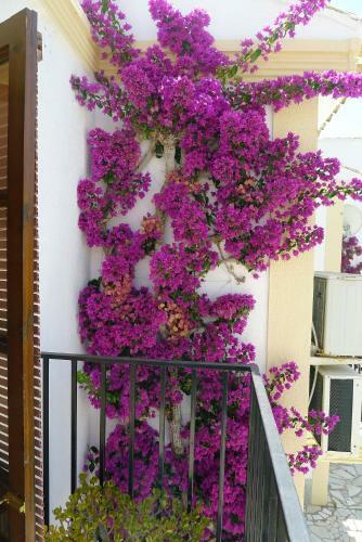Sunny Coastal 1 Bed Apartment - Vera Coast: 2mins To Beach