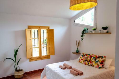 Villa El Riu Del Cel