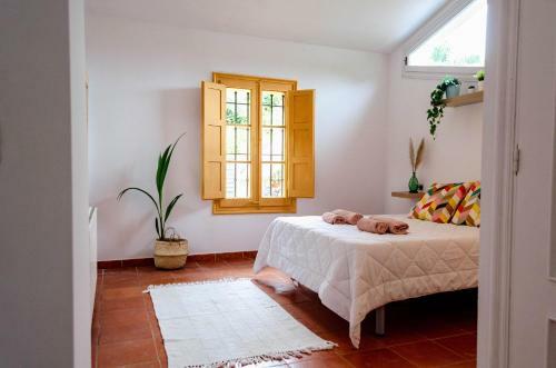 Villa El Riu Del Cel