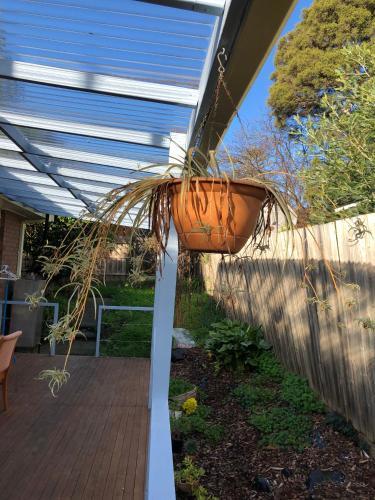 Hostal Australia Sky Guest House