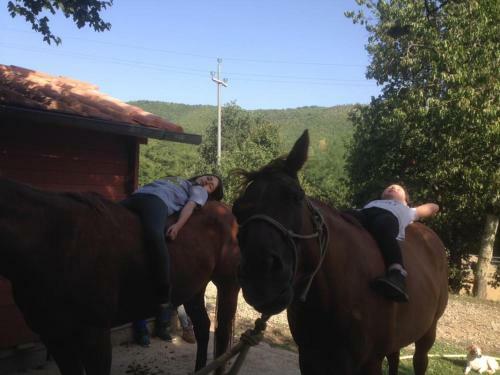 Agroturismo Agridomus Il Mulino