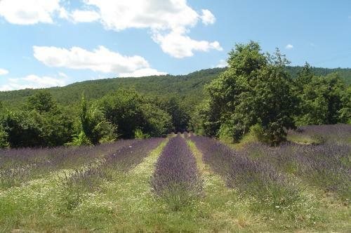 Agroturismo Agridomus Il Mulino