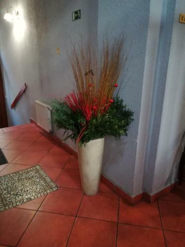 Hotel Na Kafkov�