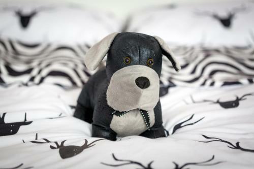 Apartamento Animal House - Stayinwroclaw