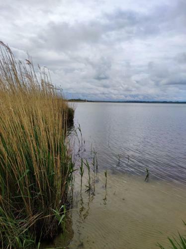 Laguna Zasta?