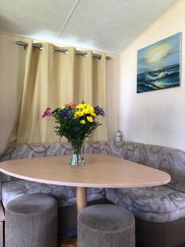 Newquay View Resort 91